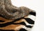 Tiger Pattern Throw Blanket - Extra Warm and Cozy for Winter! Carousel 6