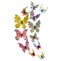 Loading Image 1 of 1
