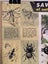 VINTAGE CALENDAR: Savings Calendar of Native Insects / NZ Savings Committee 1958 Carousel 2