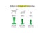 Dog Toys Interactive Rubber Pet Toys Chew Bite Cleaning Dog Tooth Brush For Carousel 5