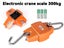 PTN NEW Crane Scales Sale Sale Sale Carousel 3