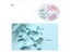 40Pcs Macaron Colorful Push Pins For Wall Decor Office Supplies Carousel 6