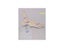 1X Medical Science Bone Joint Model Foot Joints Skeleton Model Applicable Age Carousel 1