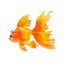 Loading Image 2 of 7