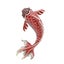 Cute Critters Brooch - Koi - Pretty, Large, Fish Pin, Red, Green or Black Carousel 4