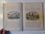 *** The Races of Mankind by Robert Brown Vol I *** Carousel 9