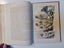 *** The Races of Mankind by Robert Brown Vol I *** Carousel 11