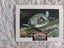 Sanitarium Wildlife Wonders Cards Carousel 2
