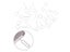 Sim Card Needle Pin Carousel 6