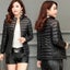 New Women Parkas Winter Jacket Down Cotton Jacket Warm Korean Casual Carousel 1