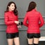 New Women Parkas Winter Jacket Down Cotton Jacket Warm Korean Casual Carousel 6