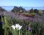 gallery view thumbnail