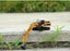 Die-cast Excavator Model Scale, 1:50, Huina 1710 YELLOW Carousel 6