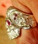 STG SILVER SKULL with Skeleton sides Carousel 6