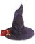 Harry Potter Sorting Hat with Face Carousel 1