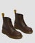 Dr Martens 1460 Crazy Horse Carousel 5