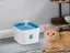 Pet Water Fountain Feeder Carousel 1