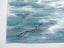 Watercolour View of Asian Coastline(A/F) Carousel 5