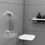 Evekare Concealed Flange Safety Grab Bathroom Wall Hand Rail Pull Bar 300mm SS Carousel 7