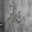 Evekare Concealed Flange Safety Grab Bathroom Wall Hand Rail Pull Bar 300mm SS Carousel 8