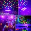 Black Light NZ Clearance Carousel 4