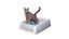 ScoopFree Self-Cleaning Litter Box 2nd Generation Carousel 2
