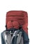 Deuter Aircontact Lite 40+10 Backpack Redwood/Arctic Carousel 3