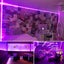 20m Black Light Strip NZ Clearance Carousel 2