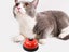 2Pcs Pet Training Bell for Pet Potty Training Dog Cat Interactive Toy Red Carousel 2