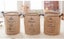 3*Canvas Storage Bucket Set (Large) Carousel 10