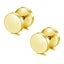 Pair Gold Flat Round Barbell Plug Stud Earrings 316 Stainless Steel Mens Unisex Carousel 8