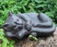 Cast Iron Sleeping Cat Sculpture Carousel 3