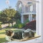 PTN NEW Cat Bed Sale Sale Sale Carousel 6