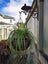 Cast Iron Hanging Basket wiith Coco Liner Carousel 3