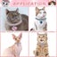 Luxury Crystal Pet Collar Love Pendant Cat Decorative Necklace Carousel 6
