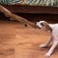 Durable Dog Plush Toys Simulated Animal Toy with Squeakers Dog Chew Carousel 6