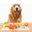 Pet Squeaky Toys Carousel 4