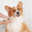 1pcs Pet Dog Cat Syringe Tablet Pill Reusable Pet Feeder Syringe Push Carousel 4