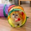 Cat Tunnel Toy Multi-shape Funny Pet Hole Play Tube Collapsible Carousel 2