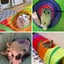 Cat Tunnel Toy Multi-shape Funny Pet Hole Play Tube Collapsible Carousel 6