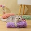 Catnip Plush Cat Bite Toy Teeth Grinding Thumb Pillow Interactive Carousel 2