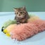 Catnip Plush Cat Bite Toy Teeth Grinding Thumb Pillow Interactive Carousel 4