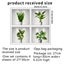 3D Plants Vinyl Wall Stickers For Bedroom Wall Decal Living room Wall Carousel 1