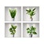 3D Plants Vinyl Wall Stickers For Bedroom Wall Decal Living room Wall Carousel 5