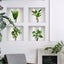 3D Plants Vinyl Wall Stickers For Bedroom Wall Decal Living room Wall Carousel 6