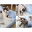 Summer Cooling Bed Portable Waterproof Durable Pets Nest Breathable Carousel 6
