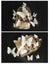 12pcs 3D White Butterfly Wall Stickers Removable Butterfly NEW Carousel 2