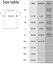 Reality Glitch Space Tiger Mens T-Shirt Carousel 2