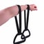 Pull Up Handle Rings Carousel 7