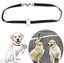 Double Lead Leash for Dogs Carousel 2